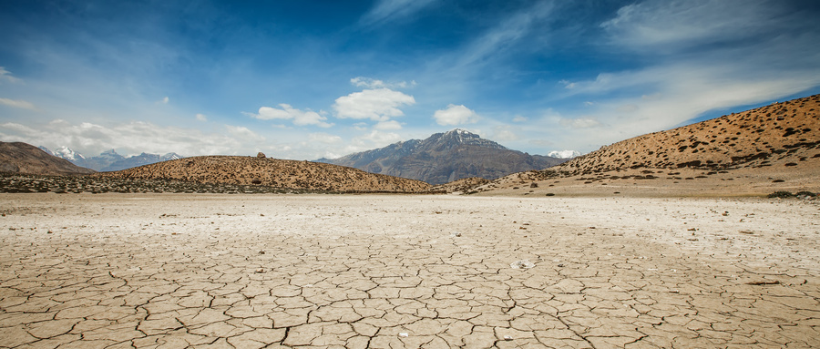 土壤污染狀況調查