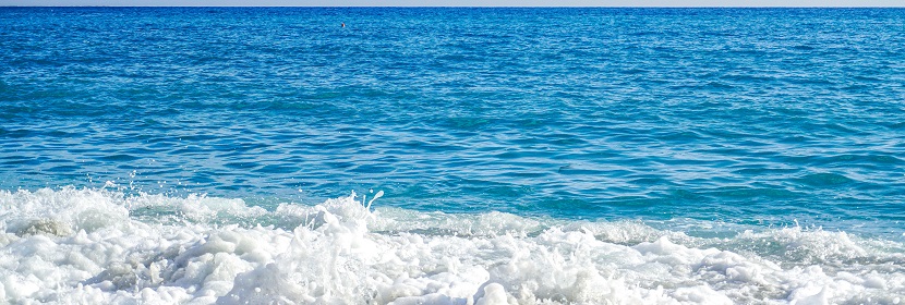 近岸海域水質(zhì)監(jiān)測(cè)