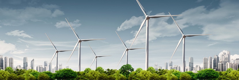 碳普惠服務(wù)