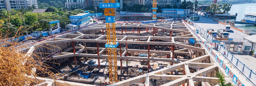 脊髓灰質炎恒河猴模型