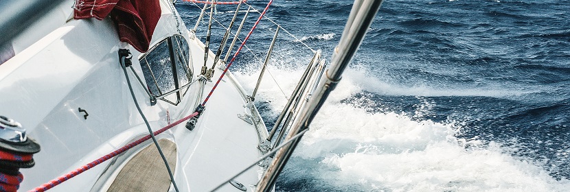 Her2 轉基因乳腺癌小鼠模型