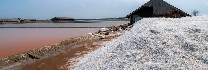 硫酸根離子檢測