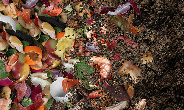 異氰酸鹽檢測(cè)