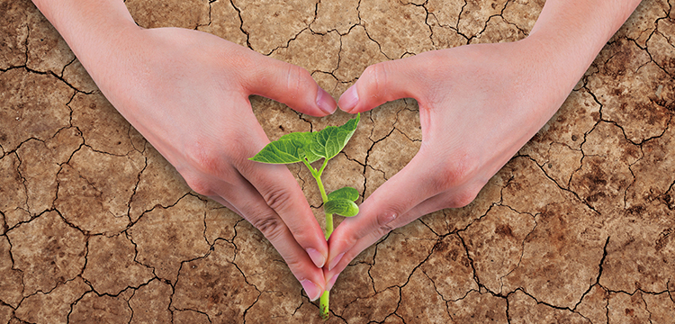 羥基氯化鐵檢測