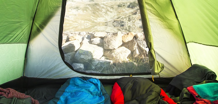 乙酰丁二酸二甲酯檢測