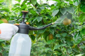 角焊縫折斷試驗