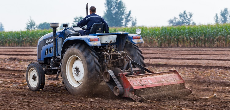 粗晶環(huán)檢測(cè)