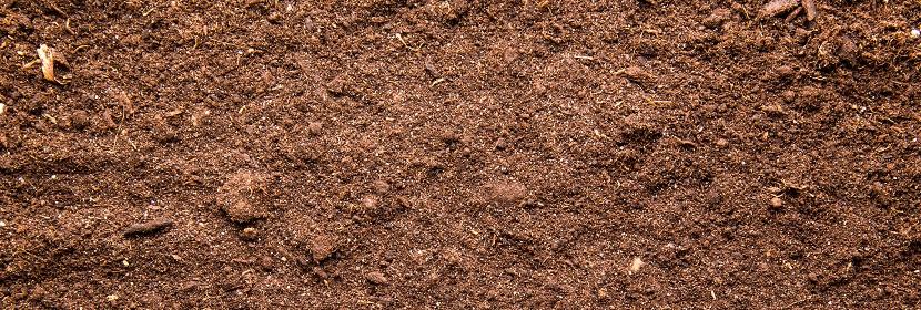 有機(jī)磷檢測(cè)