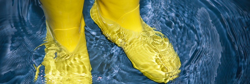 珍珠粉檢測(cè)