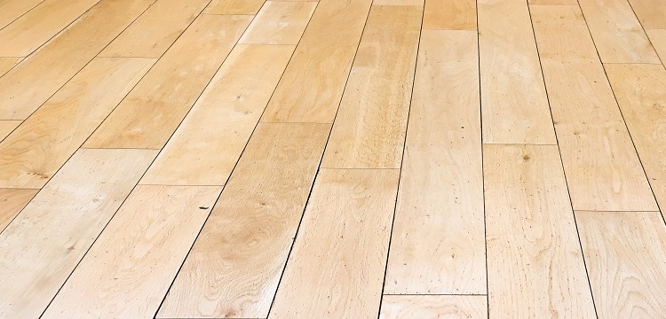 銀杏葉檢測(cè)