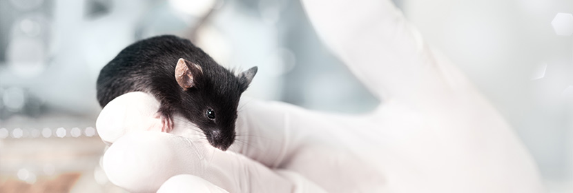 急性經(jīng)口試驗