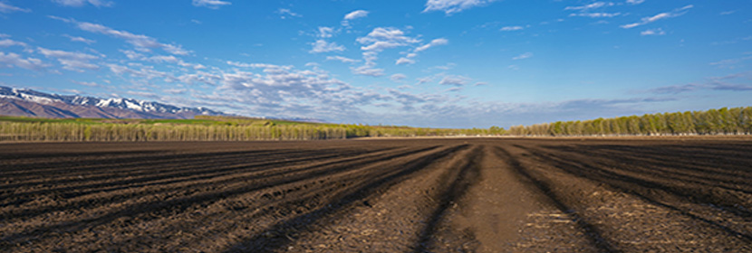 剝離粘結性測定