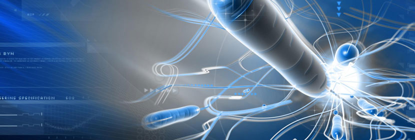 細(xì)菌內(nèi)毒素測試