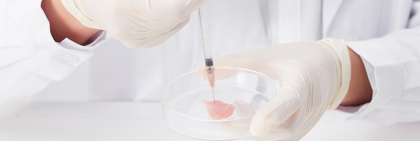 食品急性經(jīng)口毒性試驗(yàn)