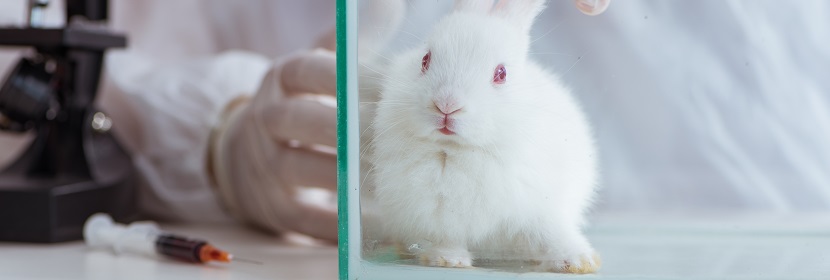 醫(yī)療器械陰道黏膜刺激試驗(yàn)