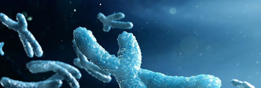 化妝品哺乳動(dòng)物骨髓細(xì)胞染色體畸變?cè)囼?yàn)