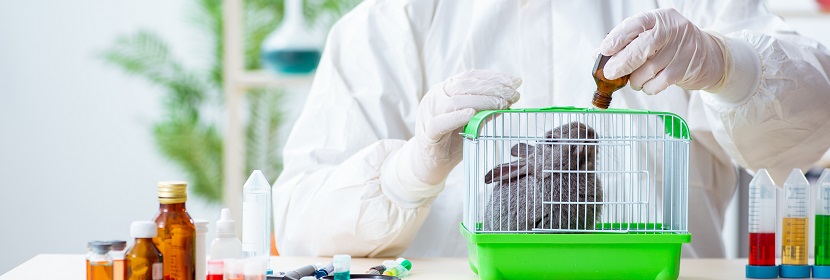 抗菌抑菌型洗滌劑急性皮膚刺激試驗(yàn)