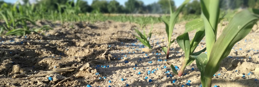 黃腐酸微量元素肥料檢測