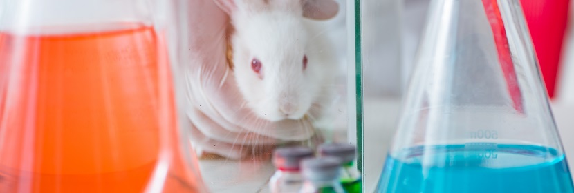 空氣消毒劑急性吸入毒性試驗(yàn)