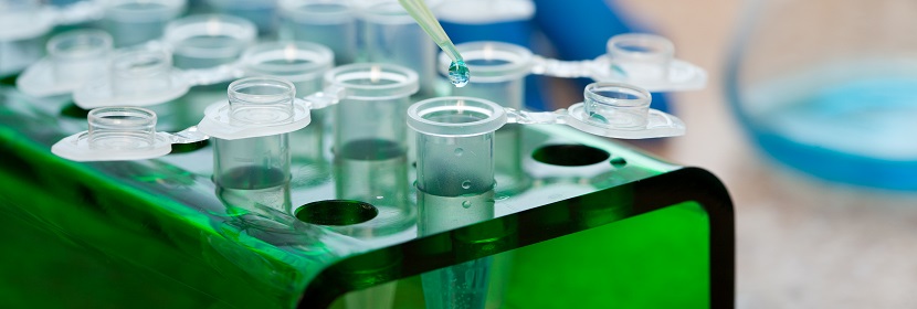 化學(xué)品顯性致死試驗(yàn)