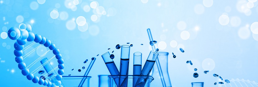 食品容器橡膠墊圈檢測(cè)