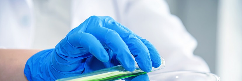 聚丙烯樹脂粉料檢測