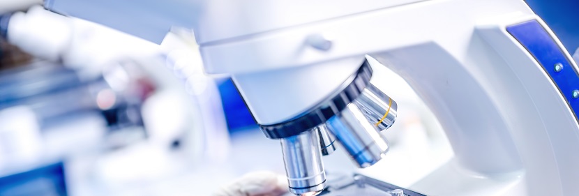 塑料玻璃纖維增強聚對苯二甲酰癸二胺檢測