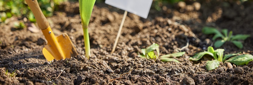 土壤養(yǎng)分檢測